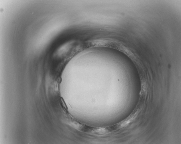 X0000060750431200511171127