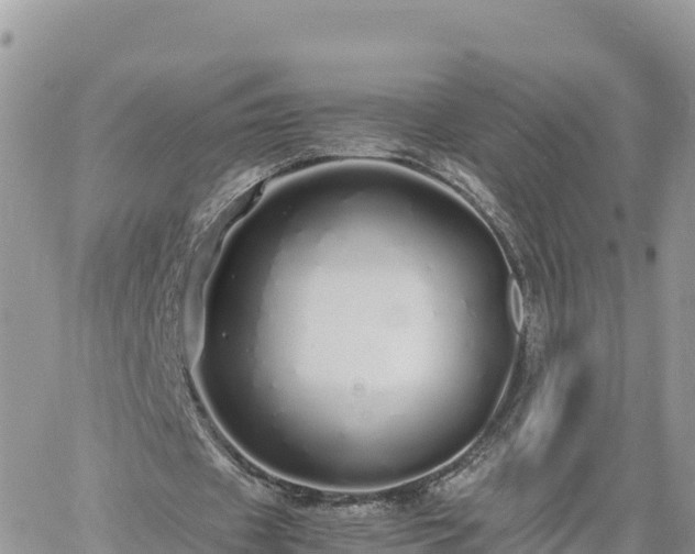 X0000060750433200511171126