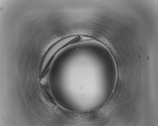 X0000060750434200511171126