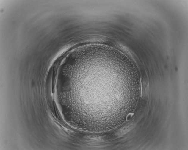 X0000060750435200511171126