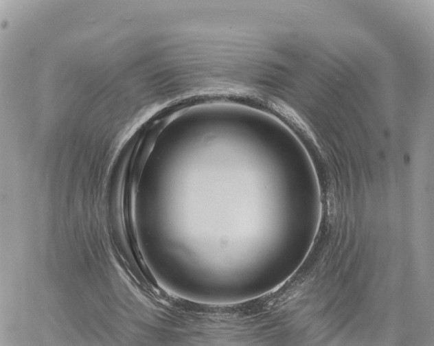 X0000060750436200511171126