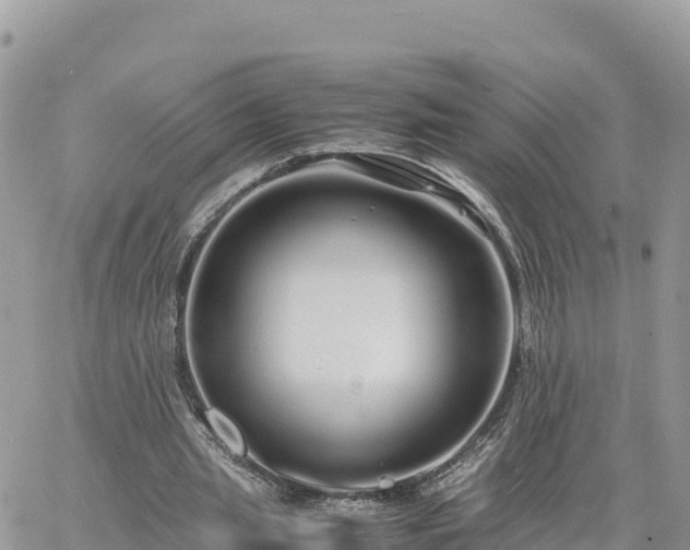 X0000060750437200511171126