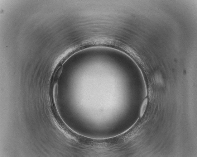 X0000060750438200511171126