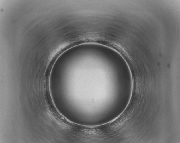 X0000060750439200511171127