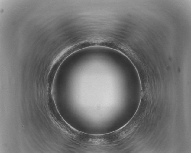 X0000060750440200511171127