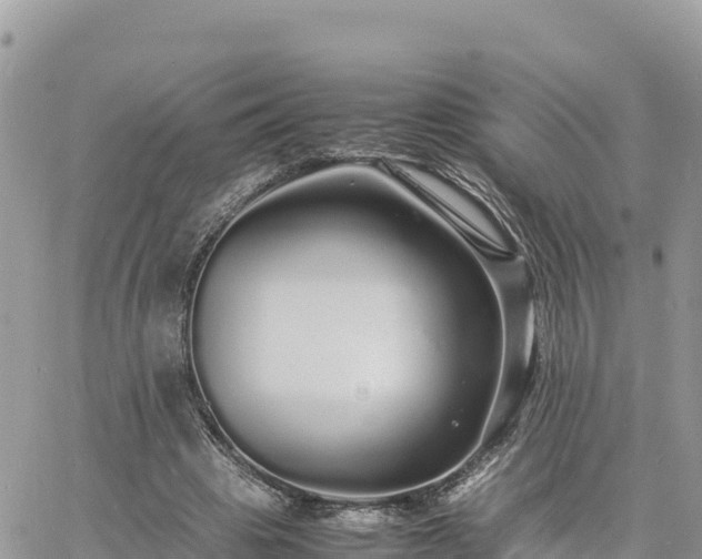 X0000060750441200511171127