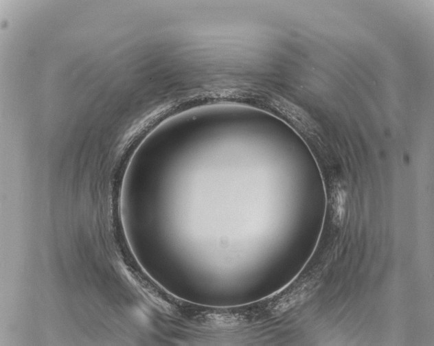 X0000060750442200511171127