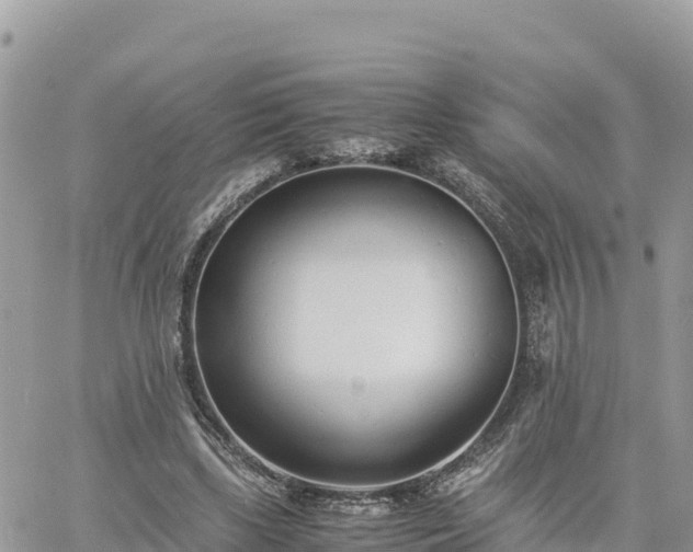 X0000060750443200511171127