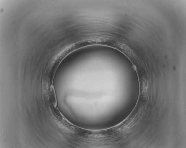 X0000060750444200511171127