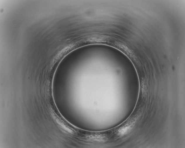 X0000060750445200511171127