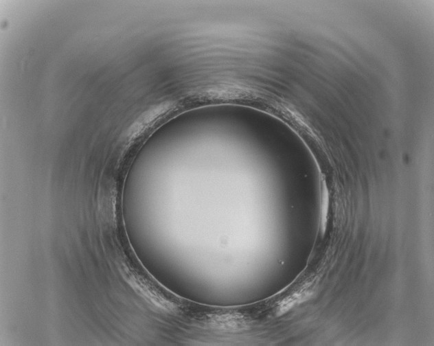 X0000060750446200511171127