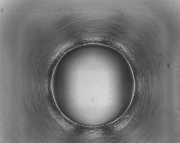 X0000060750447200511171127