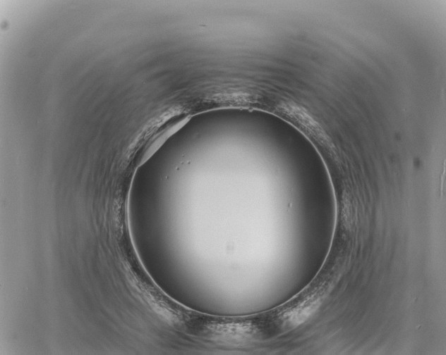 X0000060750449200511171127