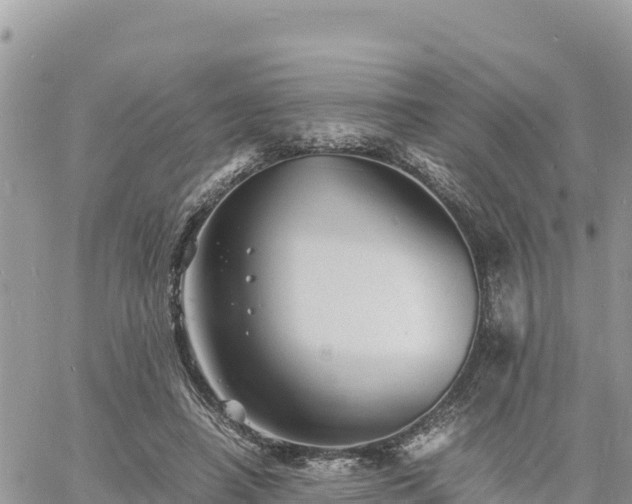 X0000060750450200511171127