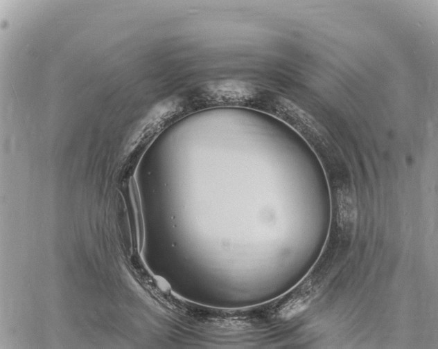 X0000060750451200511171127