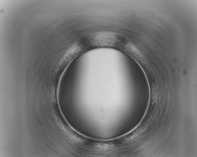 X0000060750453200511171127