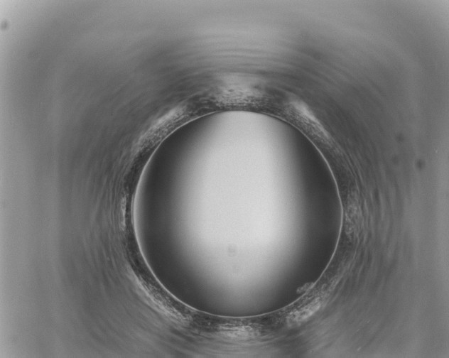 X0000060750454200511171127