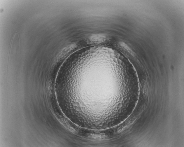 X0000060750455200511171127