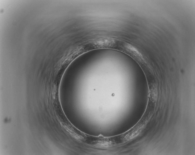 X0000060750458200511171127