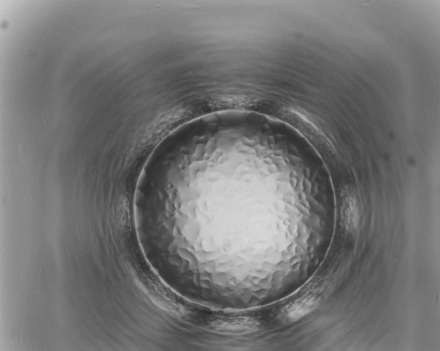 X0000060750459200511171127