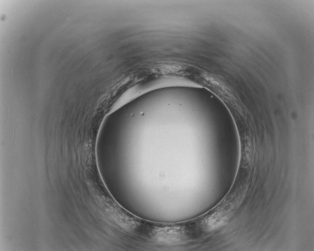 X0000060750461200511171127