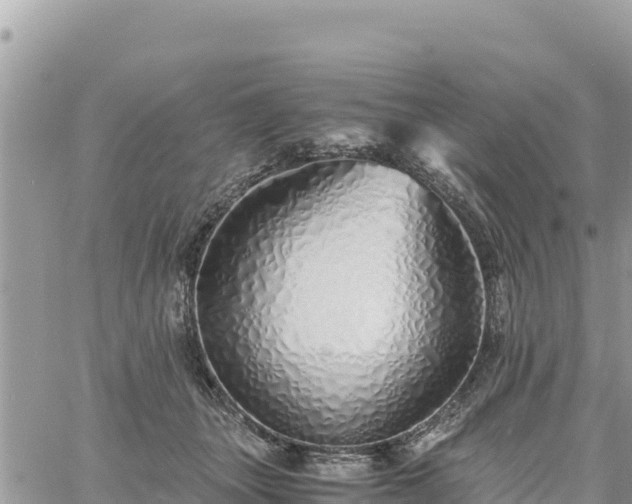 X0000060750463200511171127