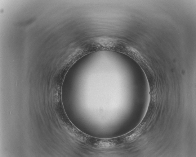 X0000060750464200511171127