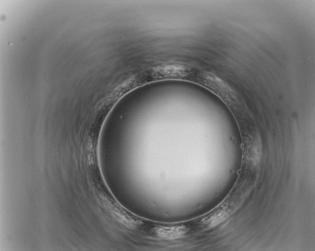 X0000060750465200511171127