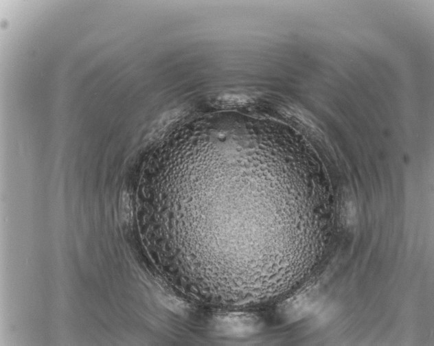 X0000060750467200511171127