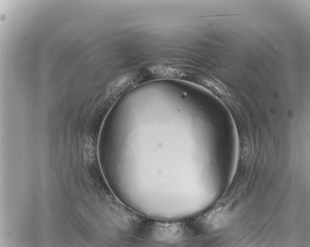 X0000060750469200511171127