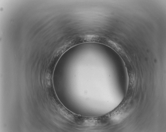 X0000060750470200511171127