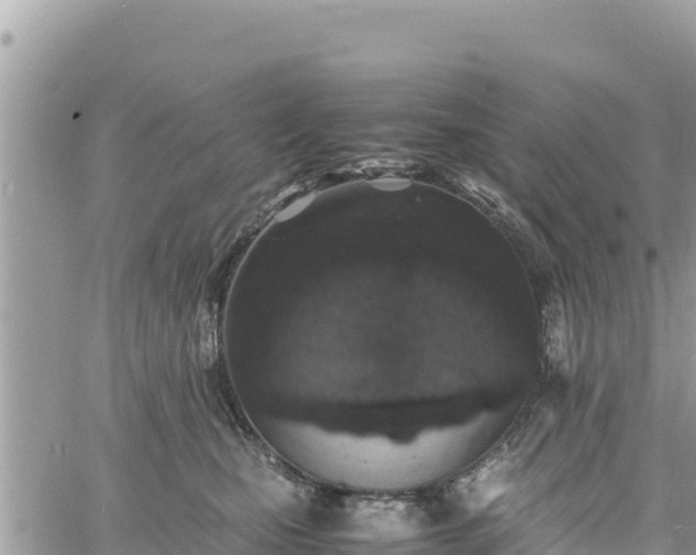 X0000060750471200511171127