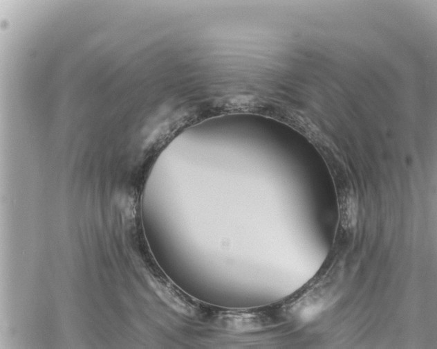 X0000060750472200511171127