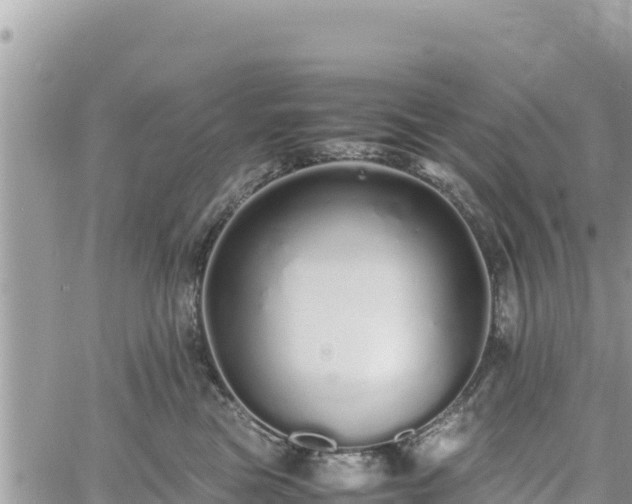 X0000060750473200511171127