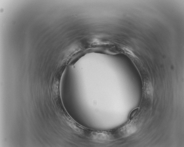 X0000060750475200511171127