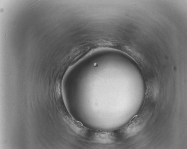 X0000060750479200511171127