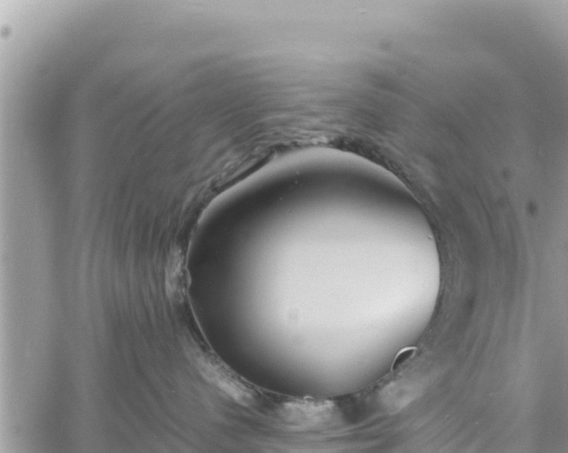 X0000060750480200511171127