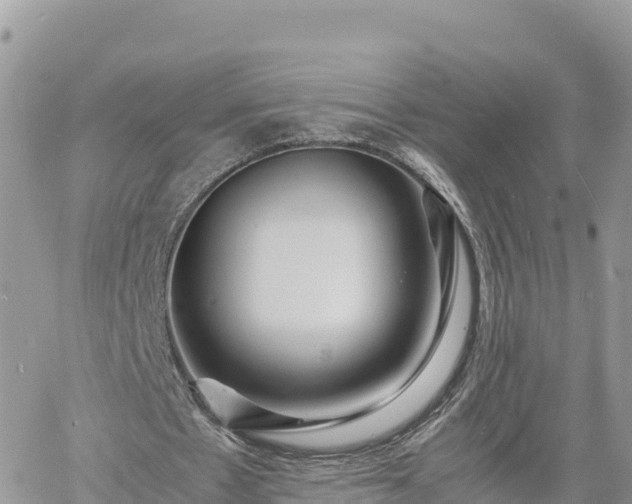 X0000060750481200511171126