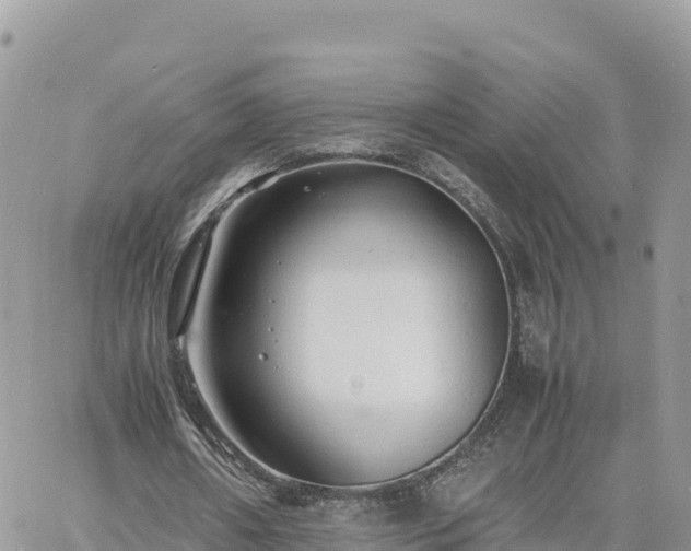 X0000060750482200511171126