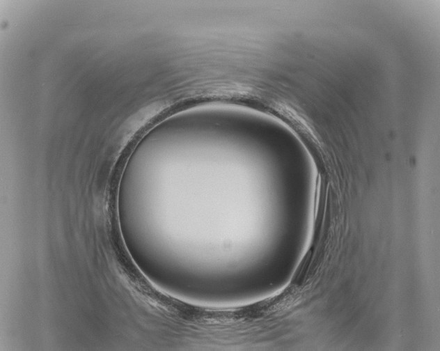 X0000060750483200511171126