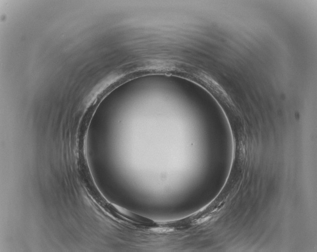 X0000060750484200511171126