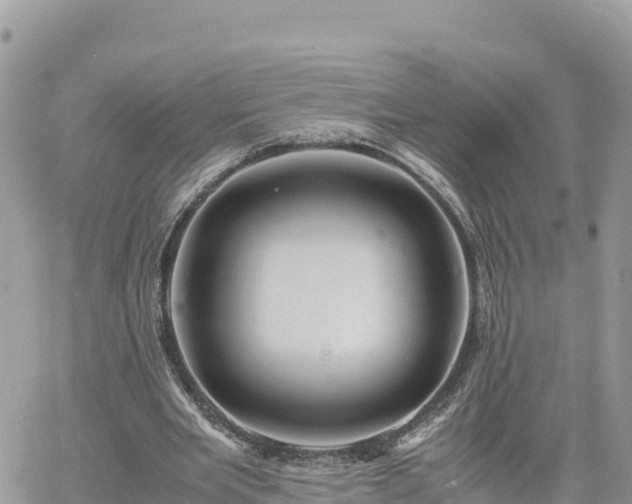 X0000060750485200511171126