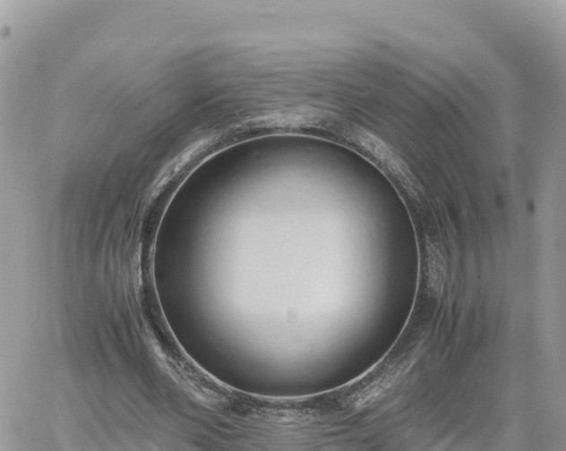 X0000060750486200511171126