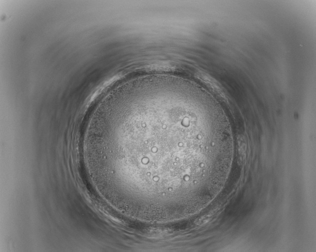 X0000060750487200511171126