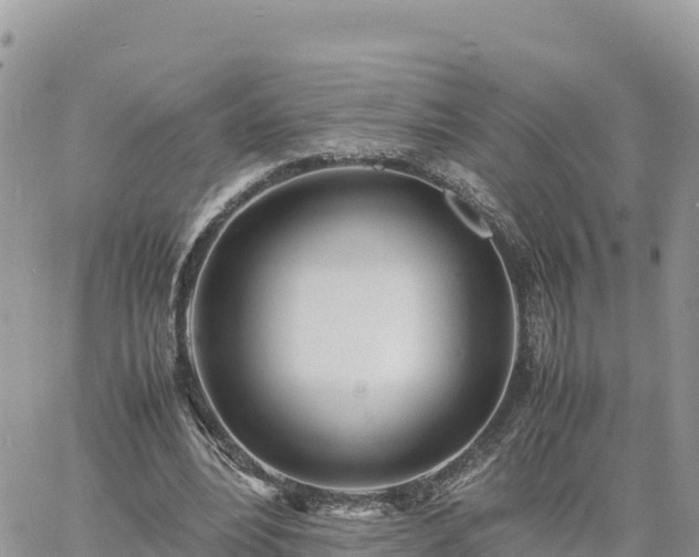 X0000060750488200511171126