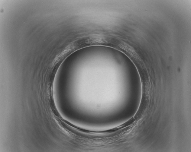 X0000060750489200511171126