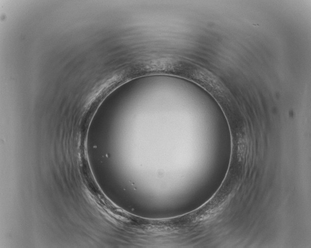 X0000060750490200511171126