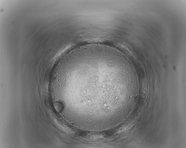 X0000060750491200511171126