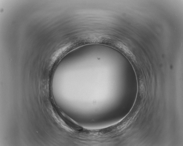 X0000060750493200511171126