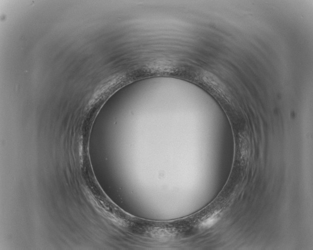 X0000060750494200511171126